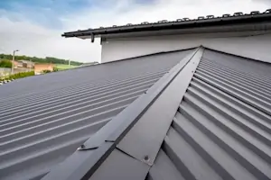 Black metal roof caps on a black metal roof.